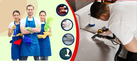 Couch Cleaning Alexandria